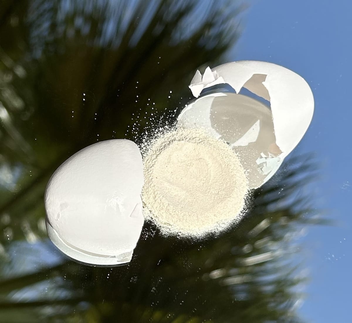 Eggshell Powder Recipe