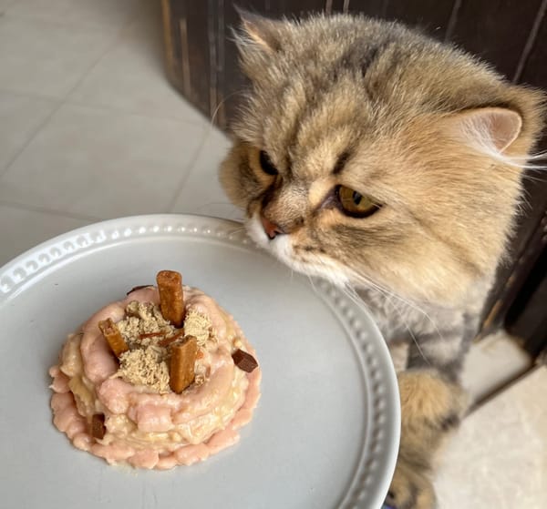 Transitioning to Raw Food